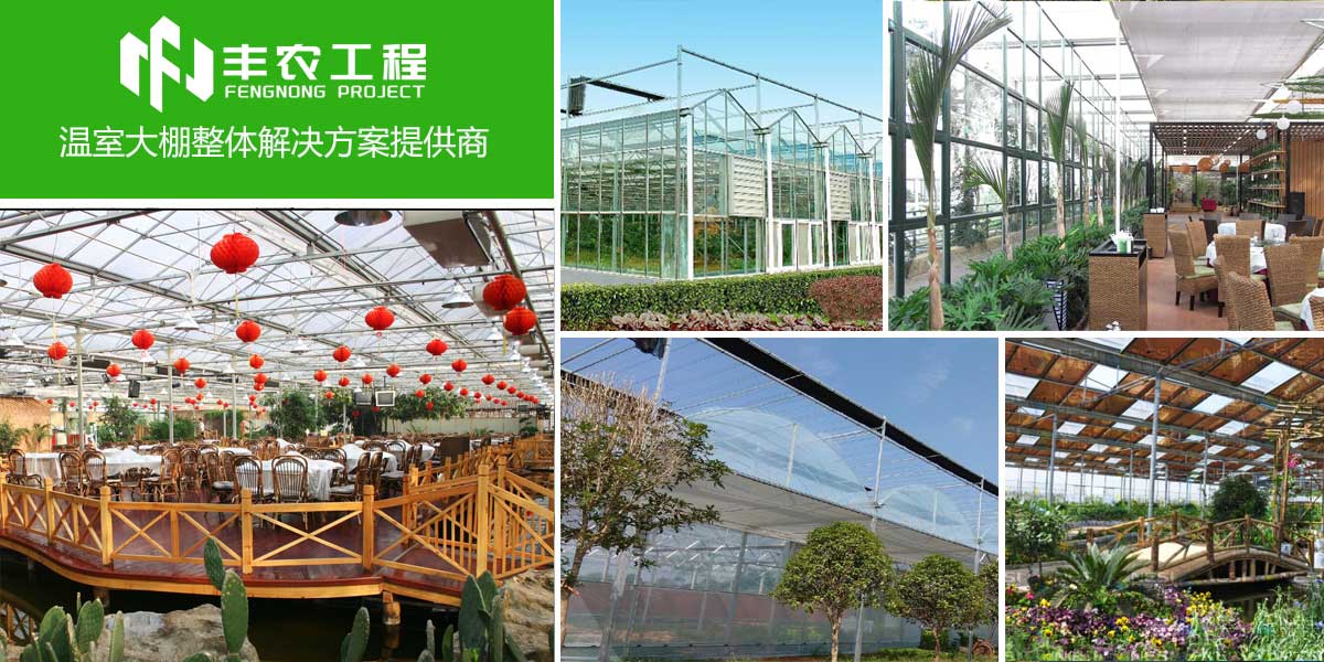 專業(yè)創(chuàng)造價(jià)值,服務(wù)贏得未來