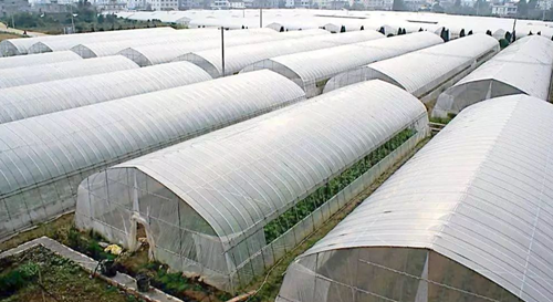溫室大棚應該如何選擇性價比最高？