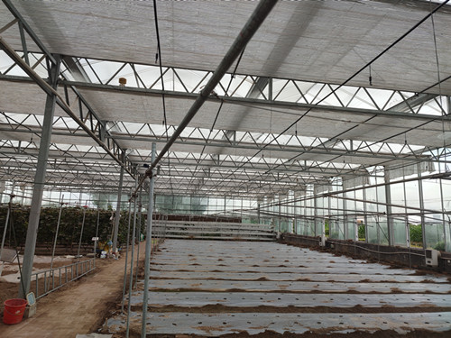 溫室大棚如何應對雨雪天氣？