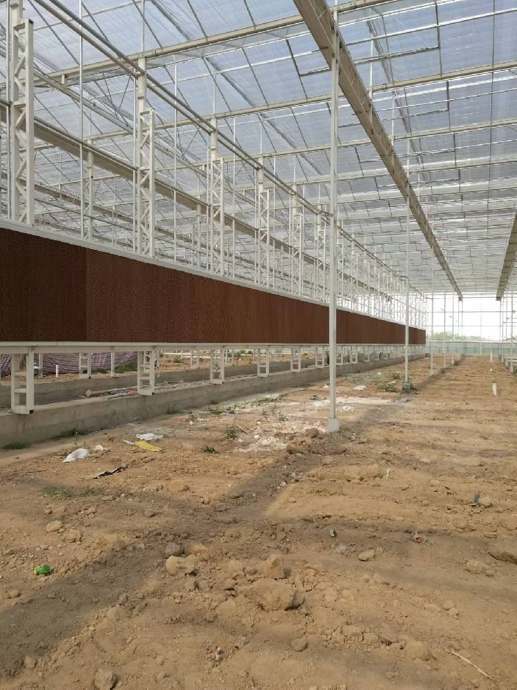 2016年咸陽市涇陽縣涇河智慧農業園