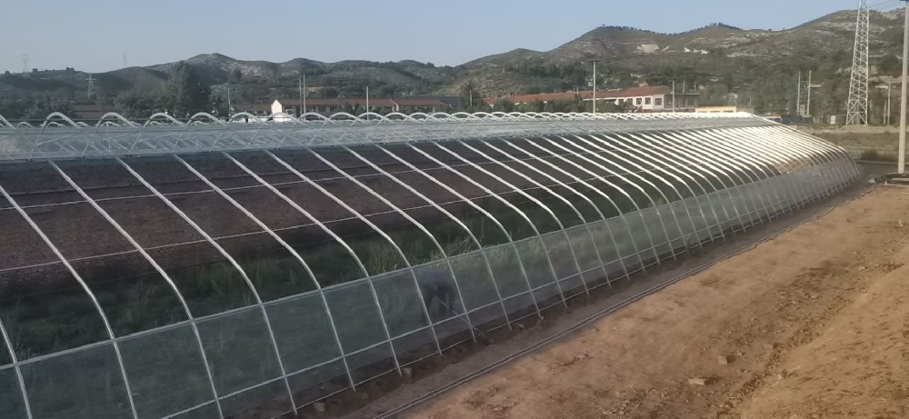 2022年黎城縣靳曲村日光溫室項目