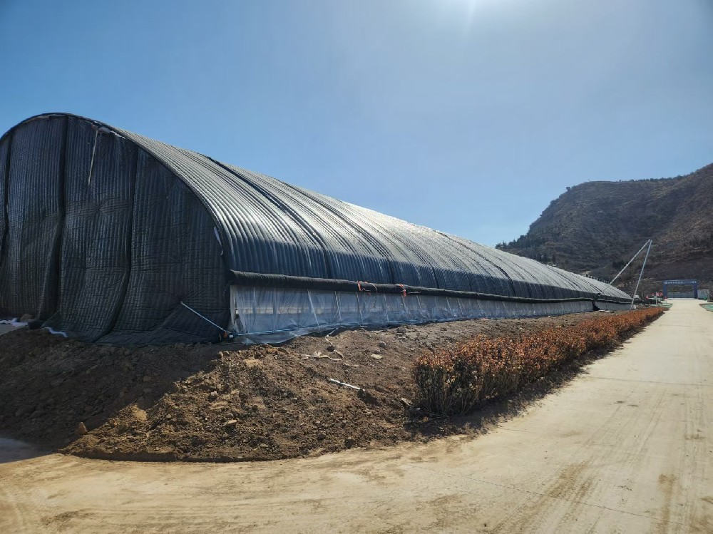 2022年神農集團馬鈴薯所農業園區建設項目