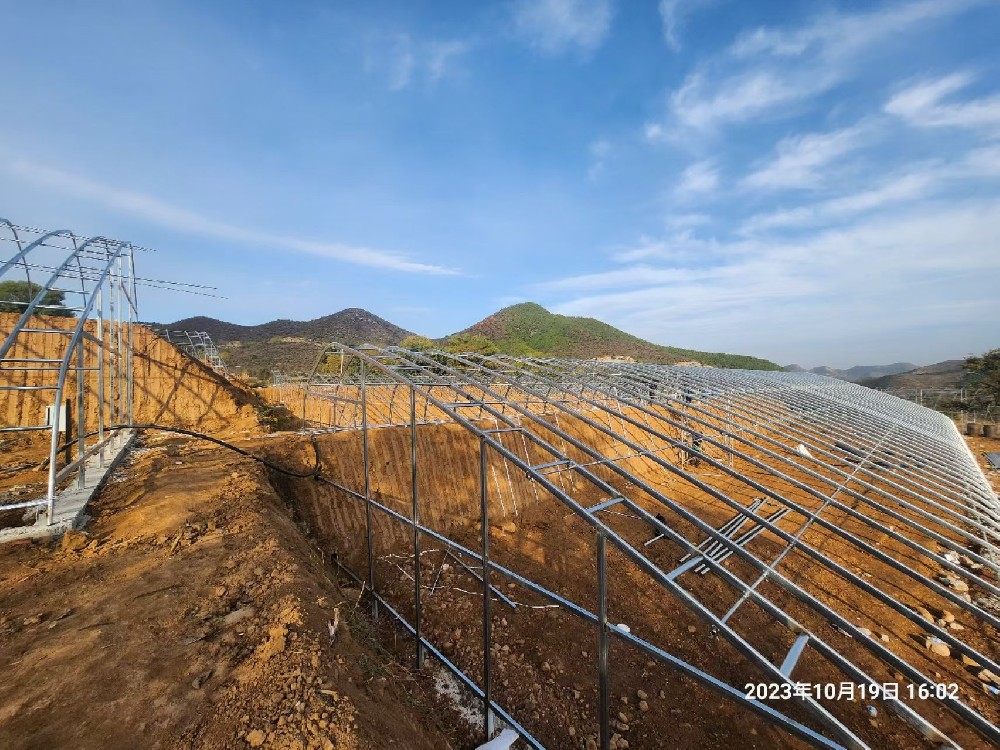2023年黎城縣王家莊日光溫室項目