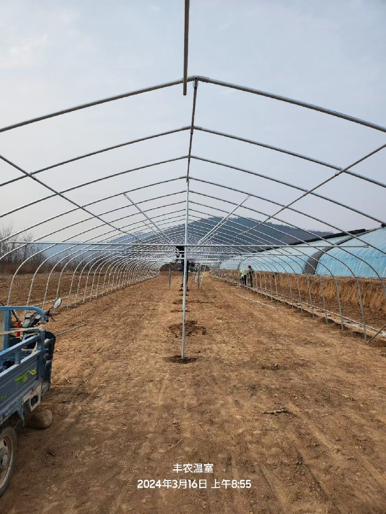 2024年香菇種植大棚